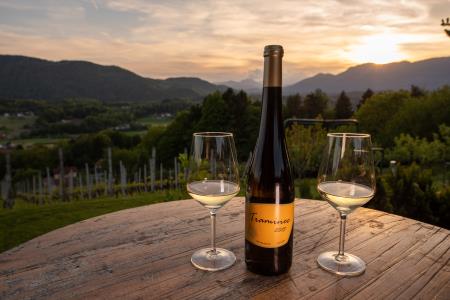 Vinotoč Primožič7